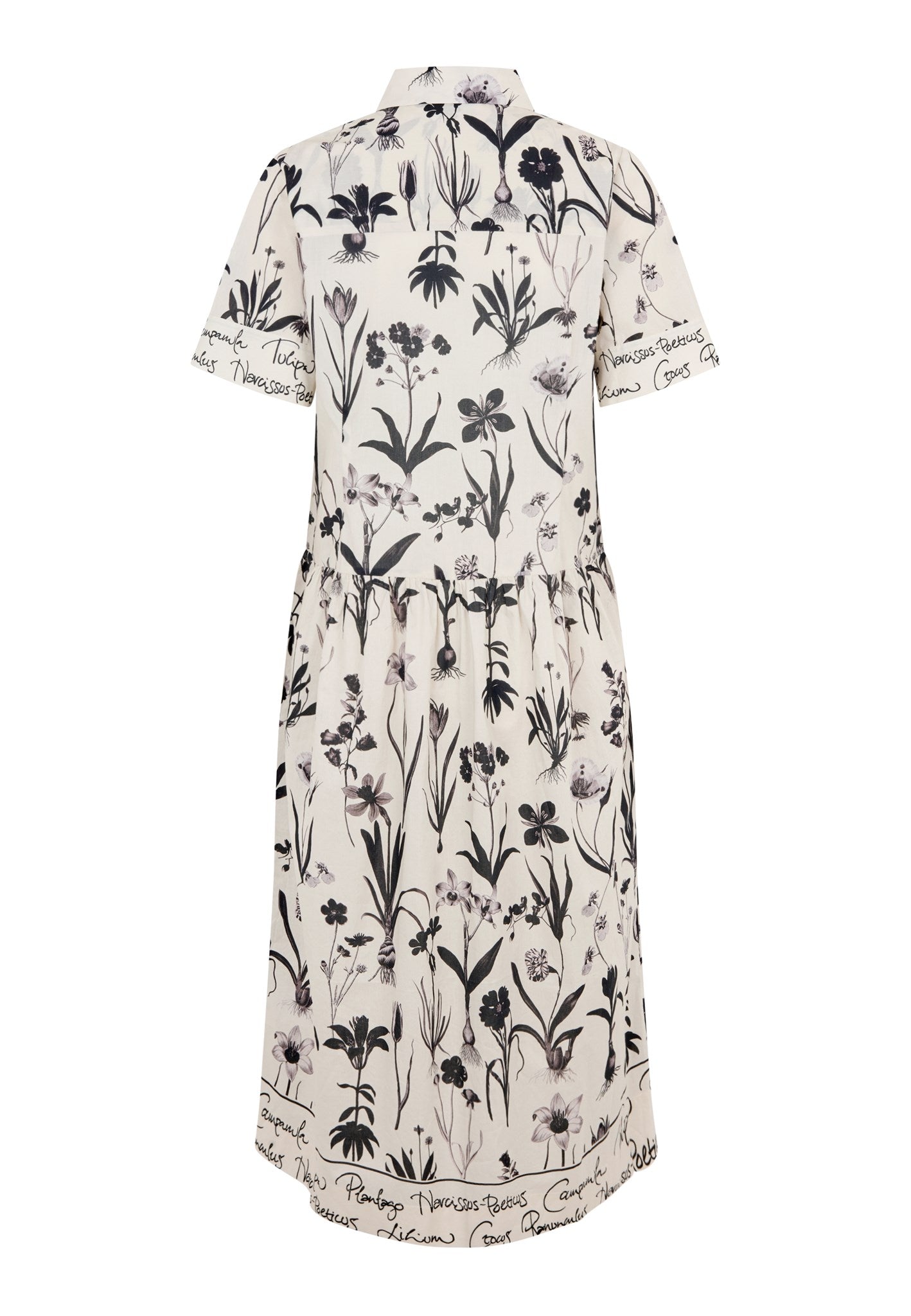 0540126 5944 Highres A