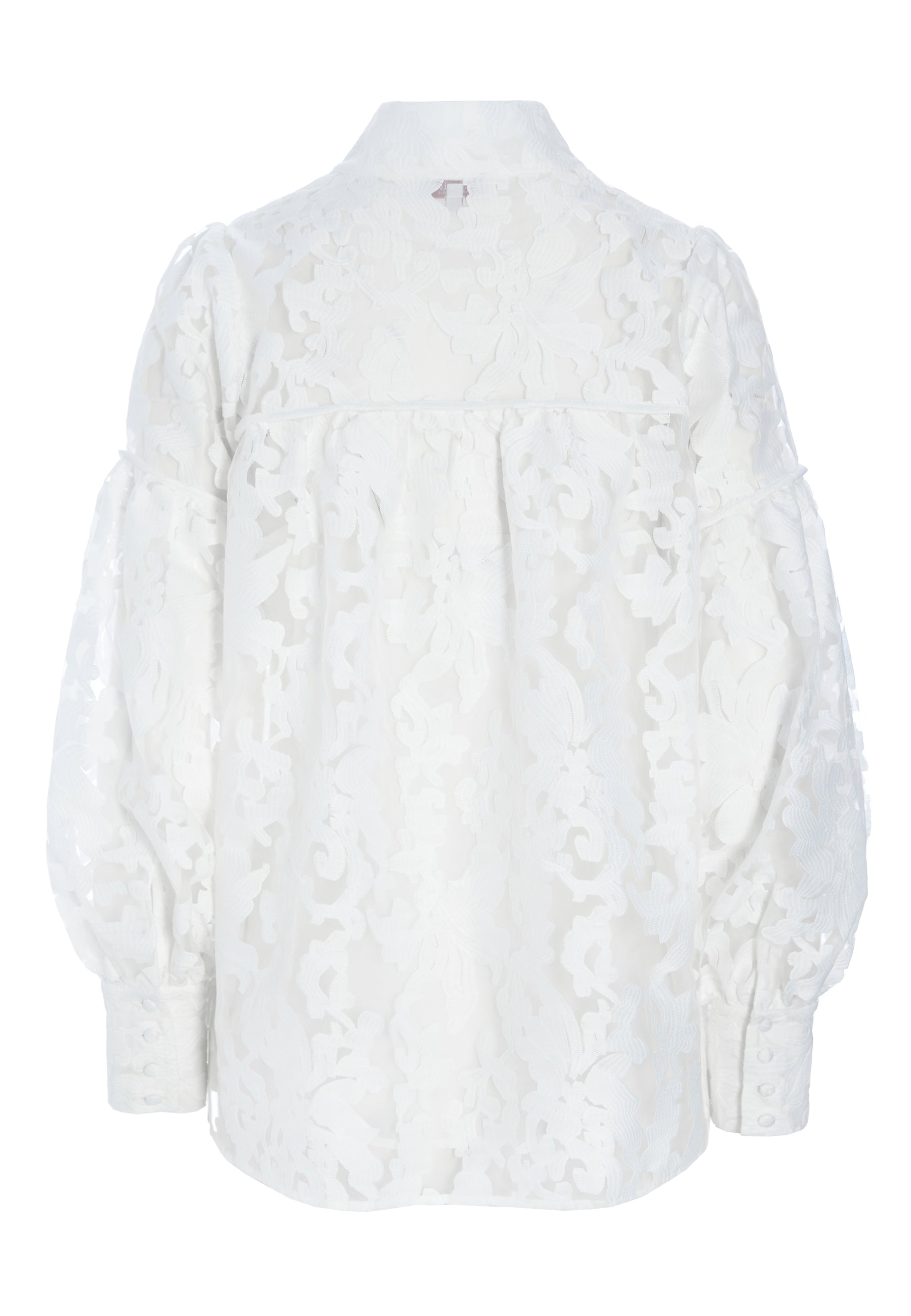 23-0123NS_5645_Highres_A