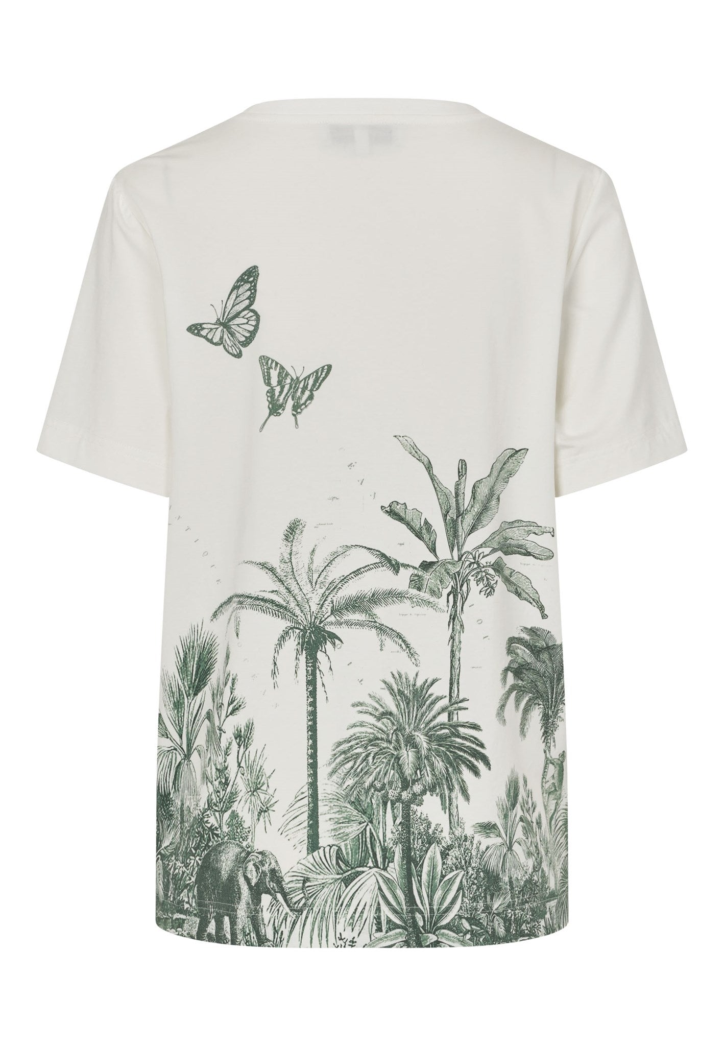 4390326 6139 Highres A